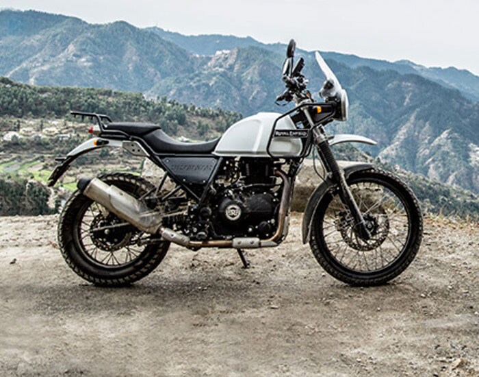 Himalayan