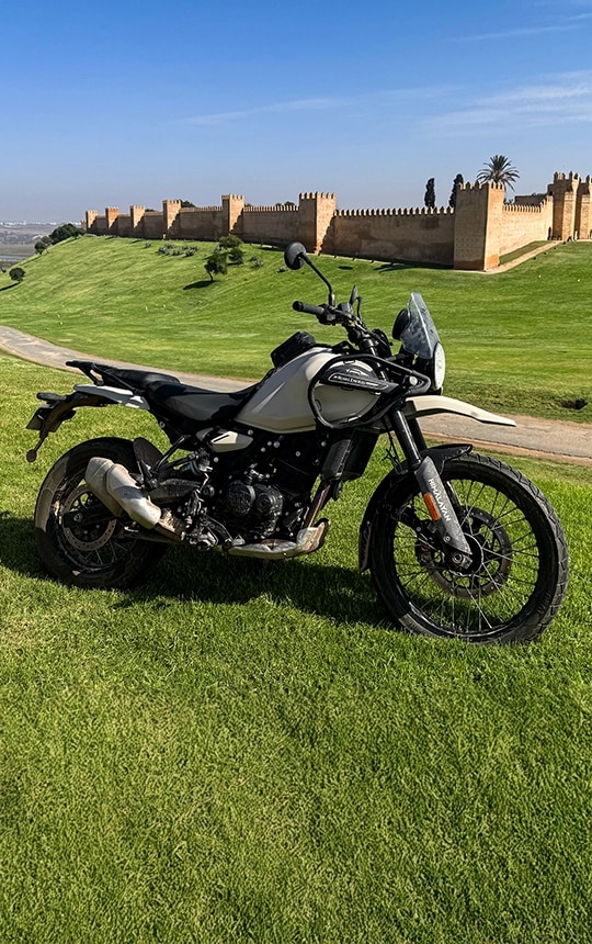 Moroccan Odyssey 2026