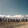 ride-image Moto Himalaya Ladakh B4