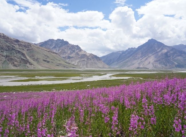 A Billion Butterflies: Weathering the Himalayan Future | By Jagdish Shukla A Billion Butterflies: Weathering the Himalayan Future | By Jagdish Shukla