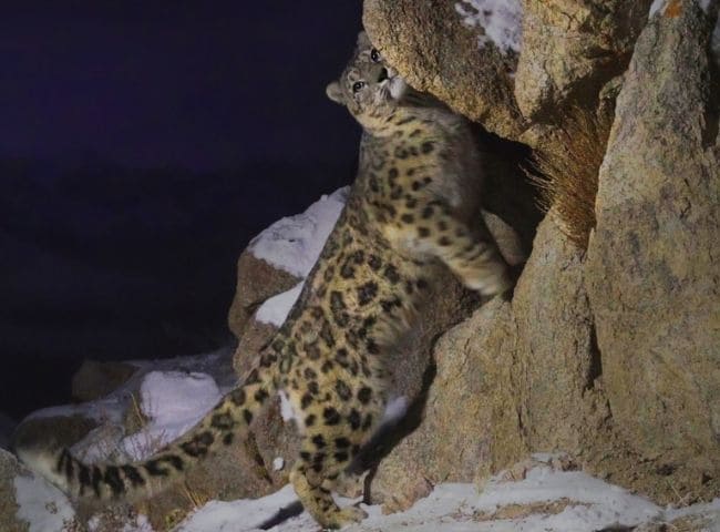 Ri Gyancha Ri Gyancha