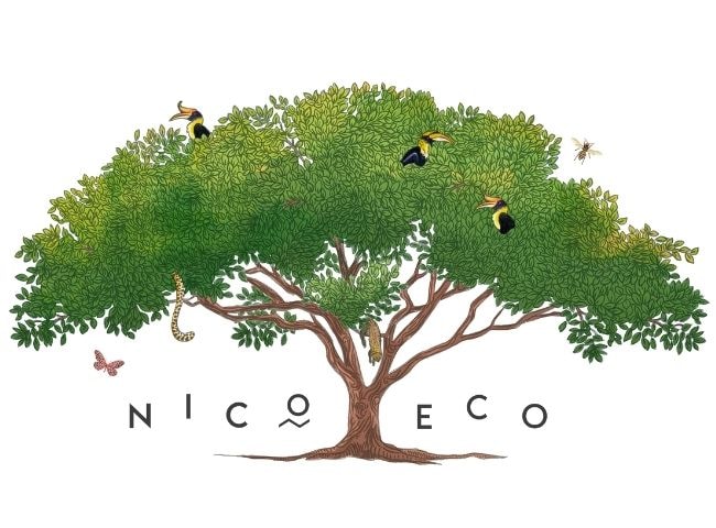 The Living Tree — NicoEco The Living Tree — NicoEco