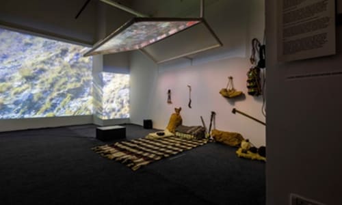 Installations and Exhibitions