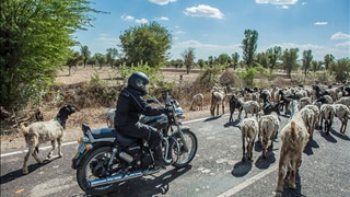 Tour of Rajasthan 2014