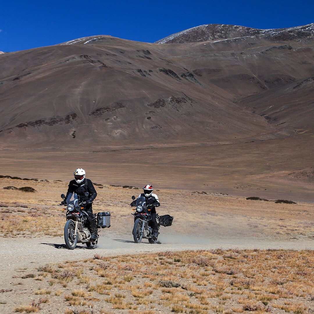 himalayan