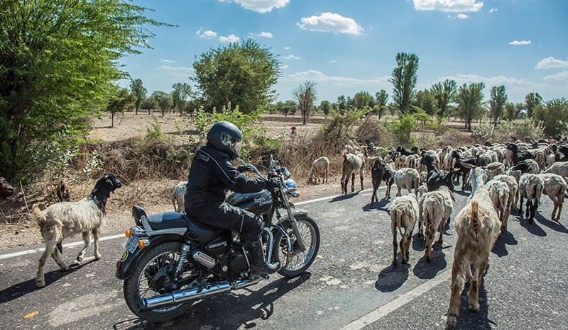 Tour of Rajasthan 2014