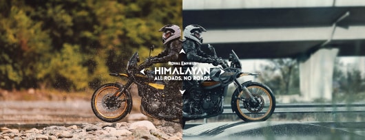 Himalayan 450 Gallery Images