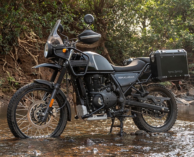 Himalayan