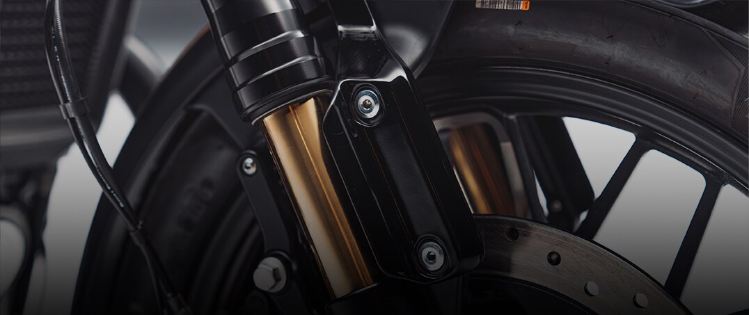 Gold inner fork tubes
