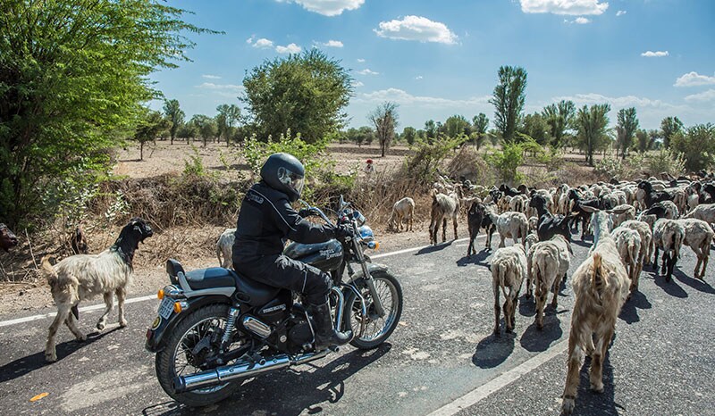 Tour Of Rajasthan