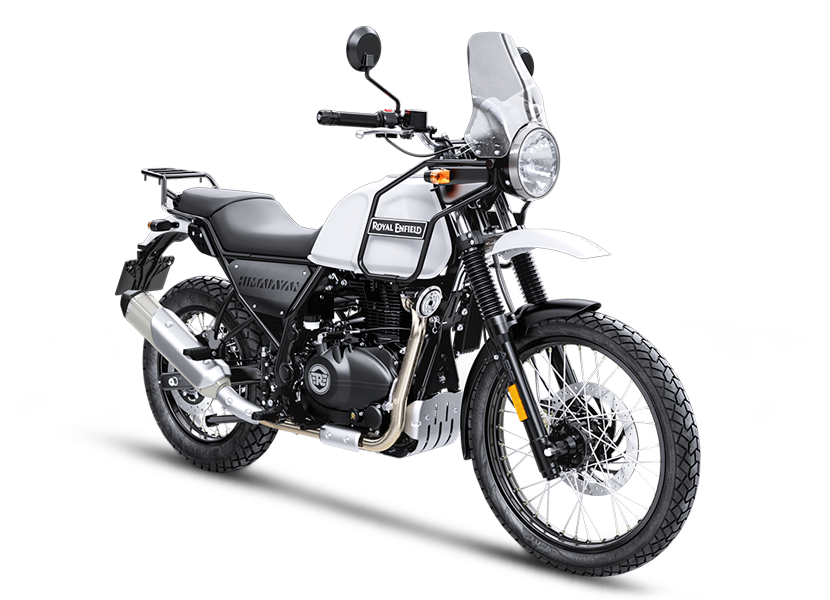 snow white himalayan bs6