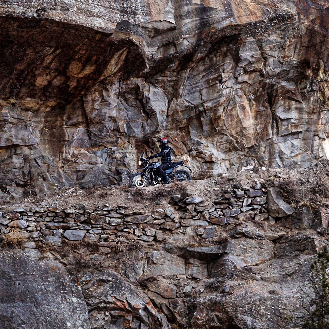 Himalayan