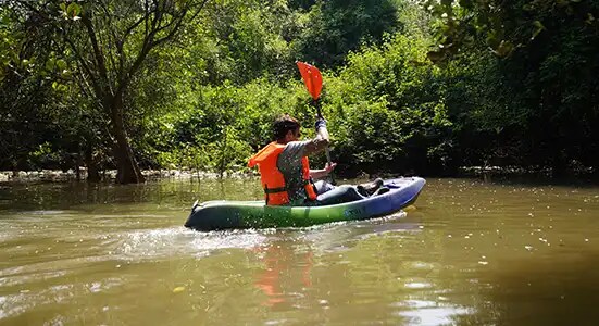 River Kayaking through Backwaters  