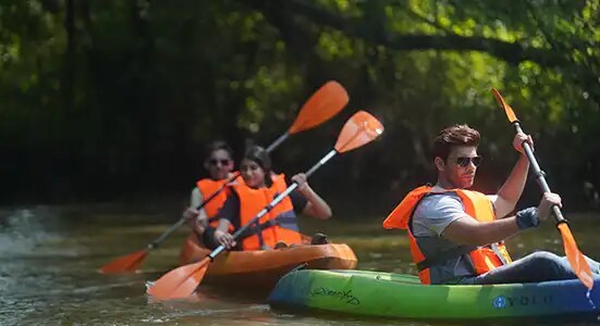 River Kayaking through Backwaters  