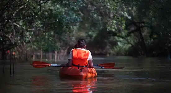 River Kayaking through Backwaters  